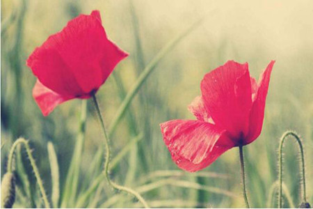 1539318923131878.jpg 20181012112101.jpg