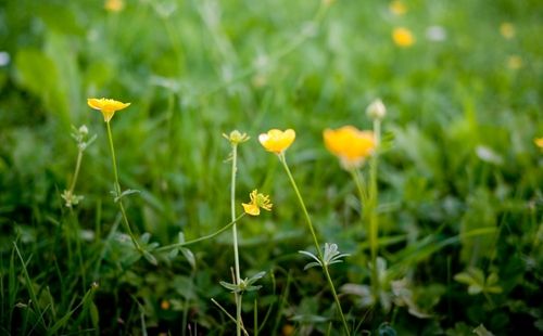 1539325174797269.jpg 不管是女神还是女汉子,都是女人美丽的特质.jpg