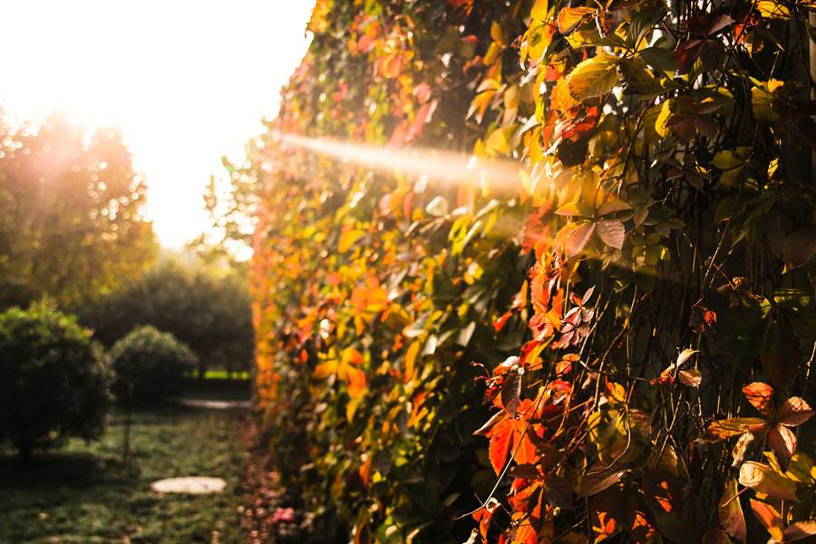 1539331118370753.jpg 没有嫁在富裕的北京,她选择了家乡的穷小子.jpg