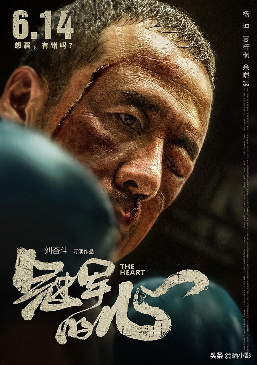 2019年6月国内上映电影