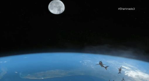 唬烂电影《风飞鲨》竟是真的 路边鲨鱼让日网友吓到弹出来！