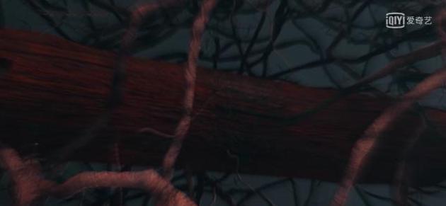 《黄金瞳》最纯粹的爱情不是庄睿和苗菲菲，而是他们两个！