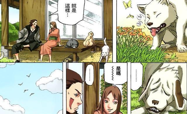 火影：佐助最不起眼的迷妹，被犬冢牙追求多年，他们才是郎才女貌