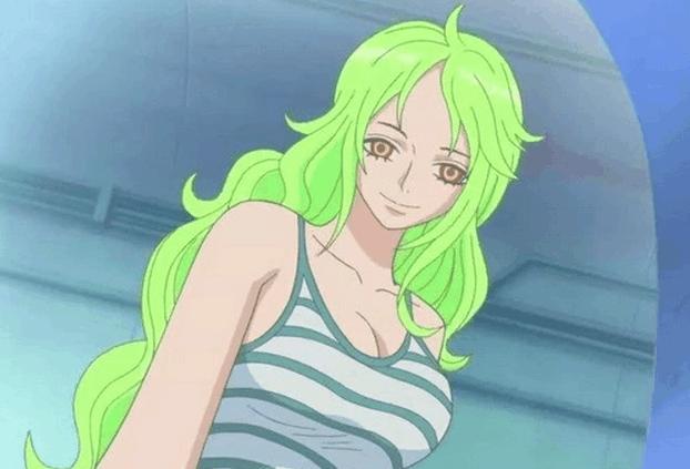 海贼王消失的自然系果实, 前任能力者跟娜美一样的美