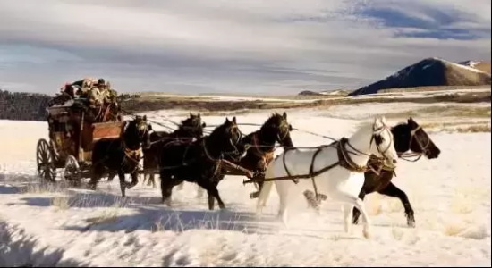 昆汀·塔伦蒂诺电影作品有哪些（昆汀·塔伦蒂诺十部经典作品推荐）