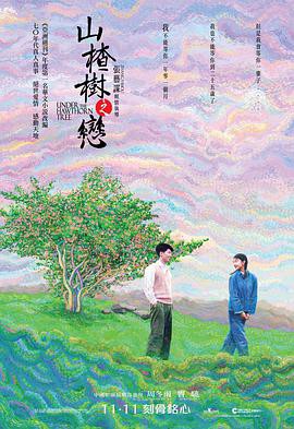 《山楂树之恋》电影封面