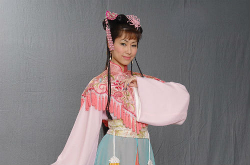 胡定欣演过的电视剧