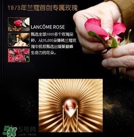 兰蔻黑金臻宠精华乳怎么用?兰蔻黑金臻宠精华乳使用方法 兰蔻黑金臻宠精华乳怎么用?兰蔻黑金臻宠精华乳使用方法