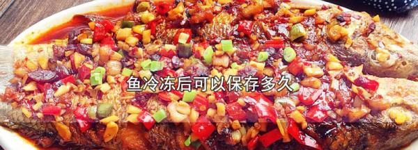 鱼可以放冰箱冷冻多久,现杀鱼可以放冰箱冷冻多久图3