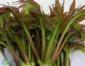 香椿几月份可以吃?香椿什么时候吃? 香椿几月份可以吃?香椿什么时候吃?