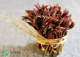 香椿几月份可以吃?香椿什么时候吃? 香椿几月份可以吃?香椿什么时候吃?