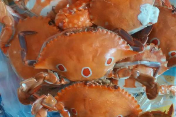 三眼蟹和梭子蟹的区别 三眼蟹和梭子蟹哪个好吃 三眼蟹和梭子蟹的区别 三眼蟹和梭子蟹哪个好吃