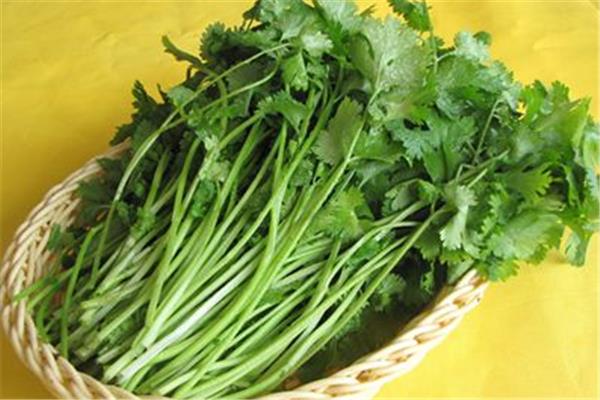 香菜有杀精子的作用吗 香菜对男性功能有影响吗 香菜有杀精子的作用吗 香菜对男性功能有影响吗