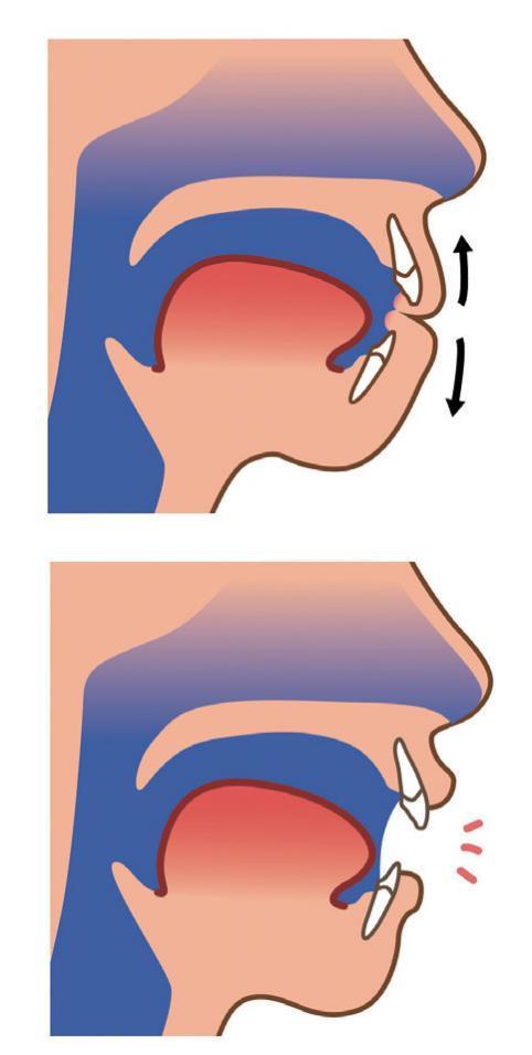鼻塞怎么快速通气 含温水摆头3分钟 鼻塞怎么快速通气 含温水摆头3分钟