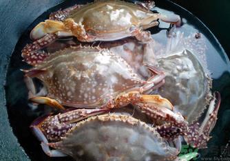 河蟹死了还能吃吗?河蟹死了多久还能吃? 河蟹死了还能吃吗?河蟹死了多久还能吃?