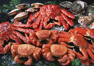 河蟹死了还能吃吗?河蟹死了多久还能吃? 河蟹死了还能吃吗?河蟹死了多久还能吃?