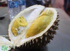 猫山王榴莲多少钱一斤 猫山王榴莲多少钱一斤最新价格 猫山王榴莲多少钱一斤 猫山王榴莲多少钱一斤最新价格