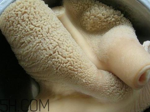 牛肚黑色怎么清洗干净 怎么清洗牛肚黑色东西 牛肚黑色怎么清洗干净 怎么清洗牛肚黑色东西