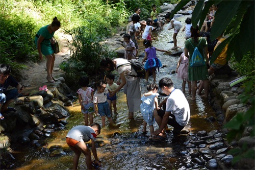 被称为深圳西北部第一高峰,海拔587米,也是深圳第八高山