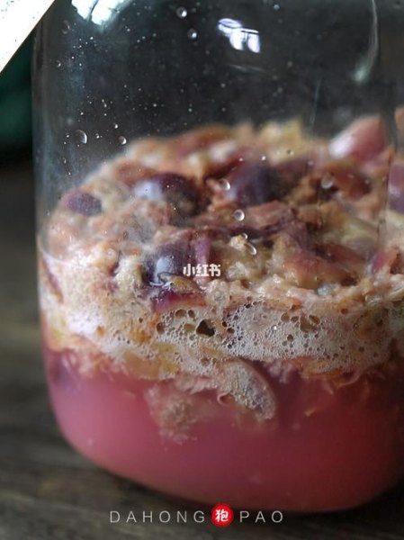 酿葡萄酒的菌是