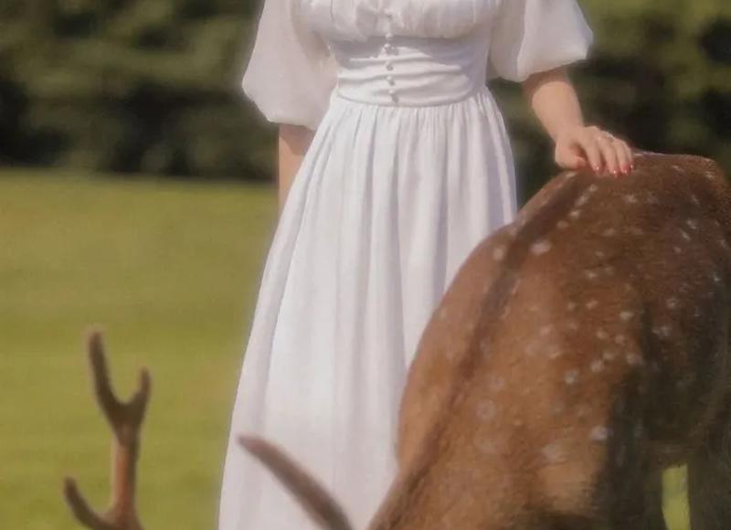 应该如何认定家庭暴力中的当防卫行为 应该如何认定家庭暴力中的当防卫行为