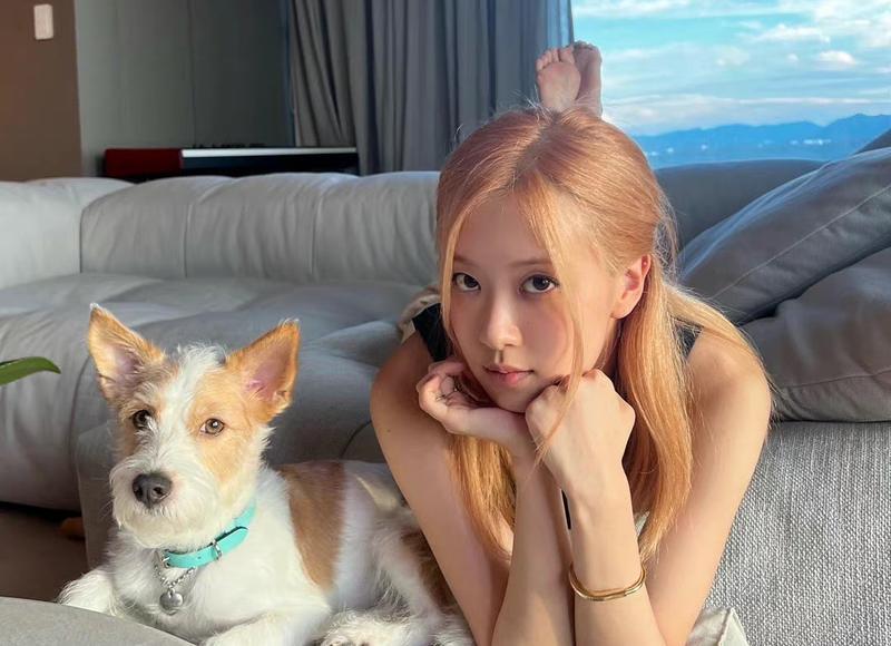 怎样挽救出轨的妻子,如何挽救出轨的妻子? 怎样挽救出轨的妻子,如何挽救出轨的妻子?