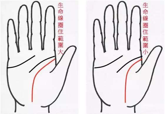 手纹线图解大全(男女手相五大纹路图解)
