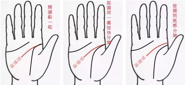 手纹线图解大全(男女手相五大纹路图解)