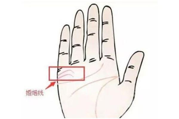 手纹线图解大全(男女手相五大纹路图解)