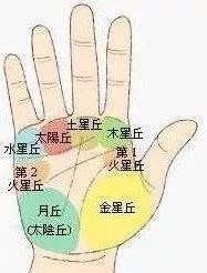 手纹线图解大全(男女手相五大纹路图解)