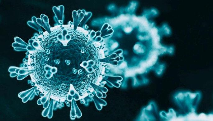 网络图片(侵删)