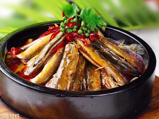 泥鳅是大的好还是小的好 大小都有营养