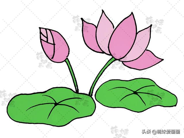 又简单又漂亮的简笔画手抄报(夏天主题素材简笔画大全)(2)