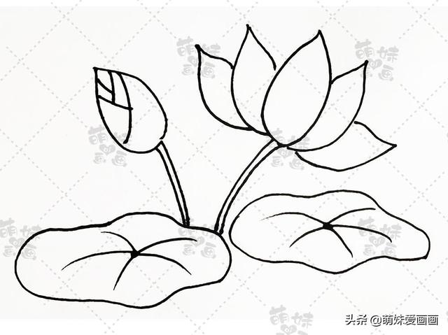 又简单又漂亮的简笔画手抄报(夏天主题素材简笔画大全)(1)