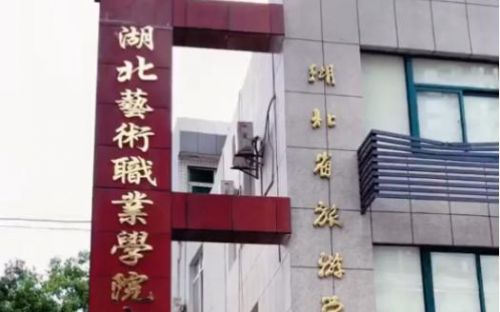 湖北艺术职业学院学费(湖北艺术职业学院怎么样)-第1张图片-