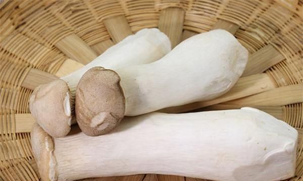 杏鲍菇怎样才算坏了