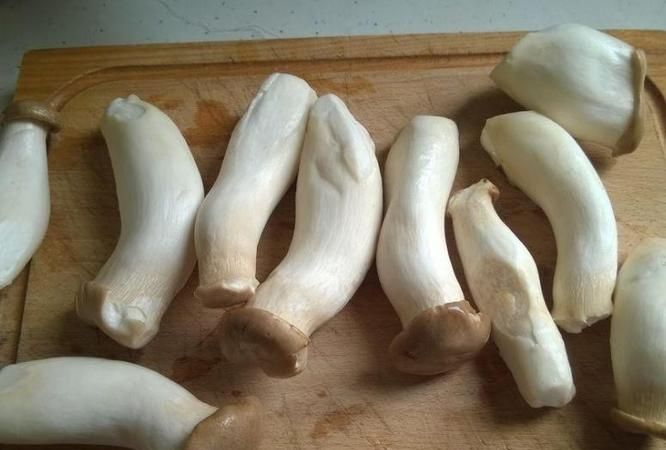 如何辨别杏鲍菇坏没坏