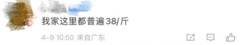 1吨等于多少斤(1吨等于多少斤等于多少千克)-第1张图片-