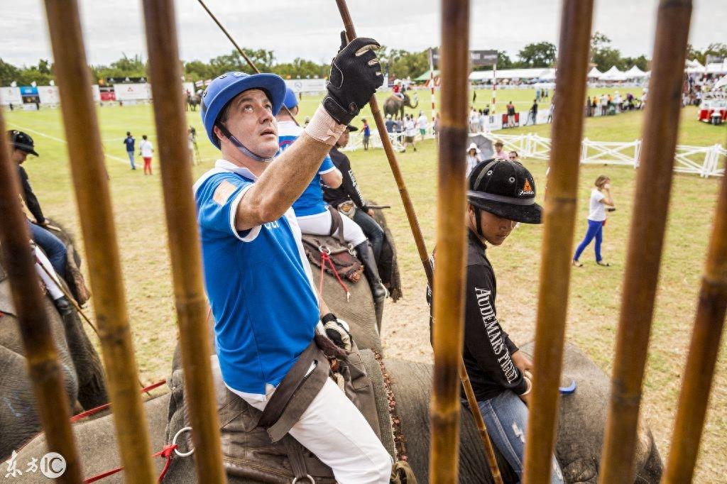 看泰国大象马球锦标赛,这比赛真是太有姿色了!