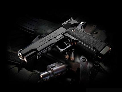 世界名枪 经典武器大全