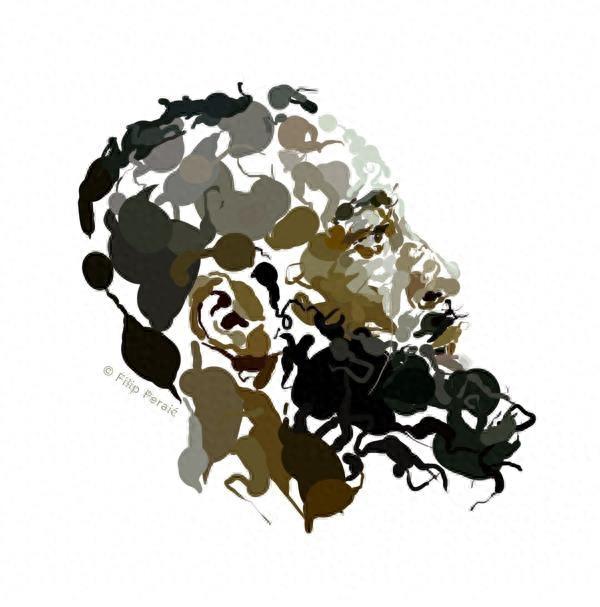 张张都能做头像！哈登漫画头像帅到没朋友！