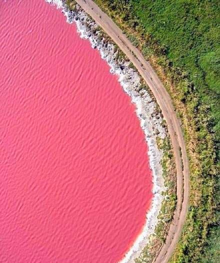 未解的谜团——神奇的粉色湖泊