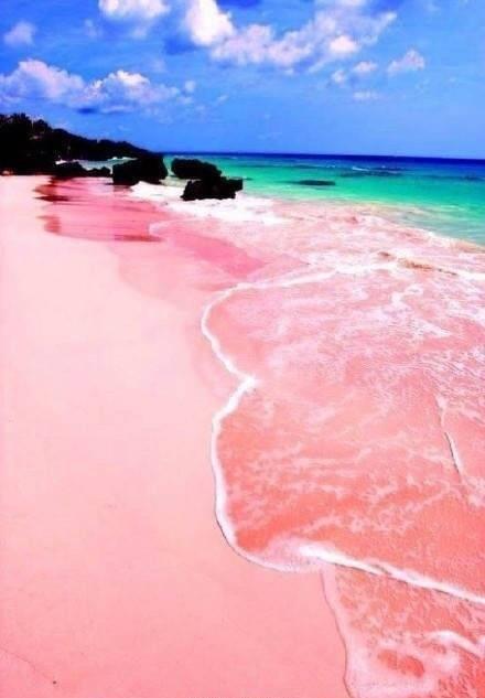 未解的谜团——神奇的粉色湖泊