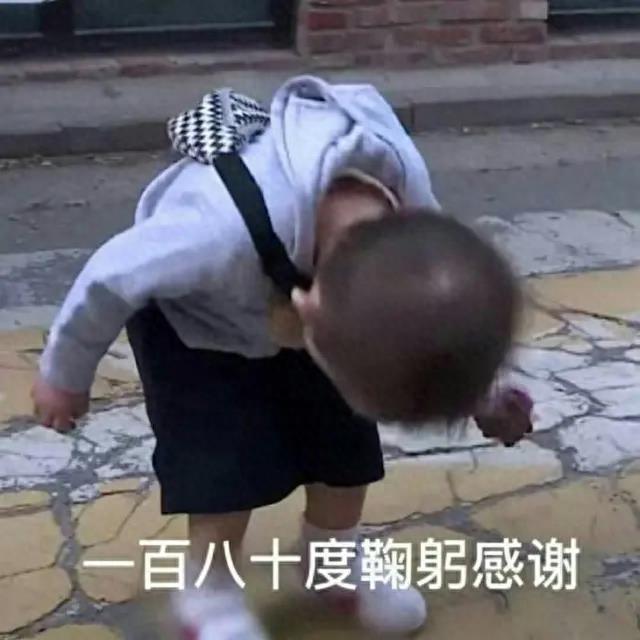 表情包：我给你一百八十度鞠躬感谢
