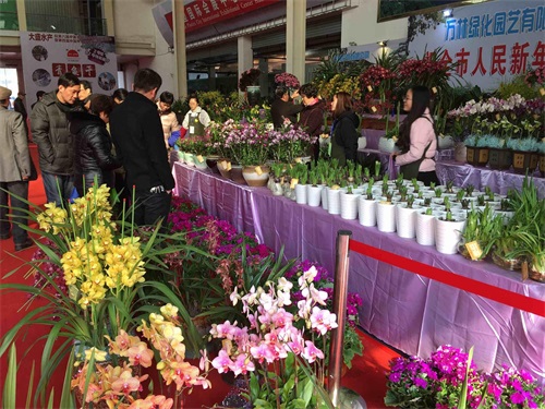 第八届中国余姚河姆渡农业博览会举行!